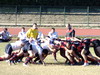 thumb_DSCF2849.JPG